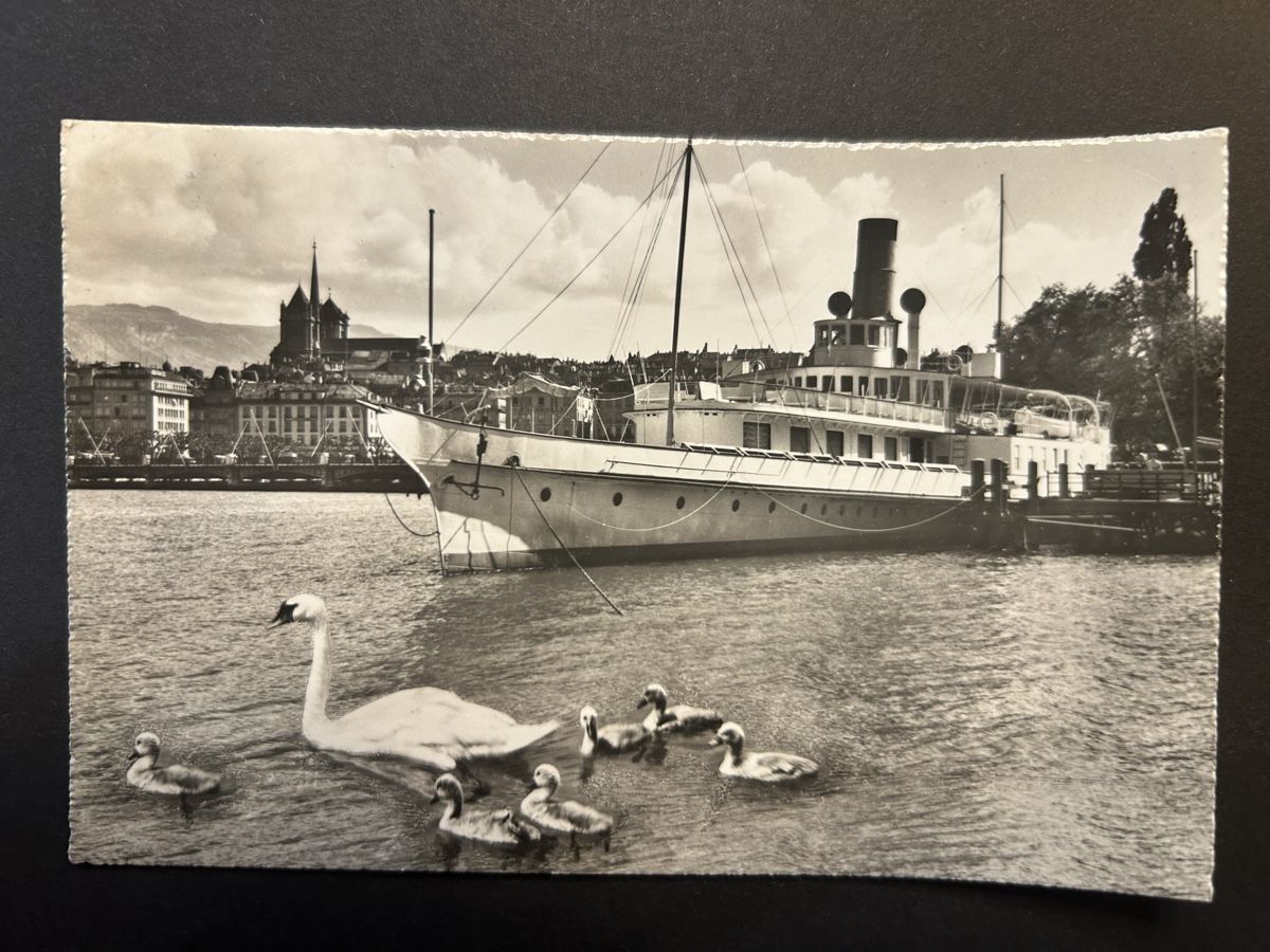 Cartoline postali: Genf Dampfschiff – Usato da Fanas venduto da Alessio11