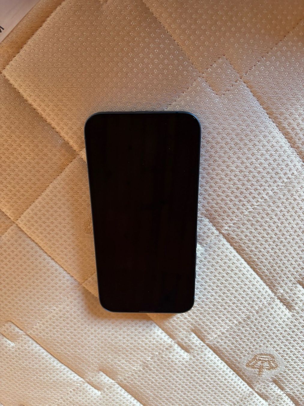 Apple Telefoni cellulari / Smartphones: iPhone 13 Blau 128GB – Usato da Schönried venduto da Roduba 2