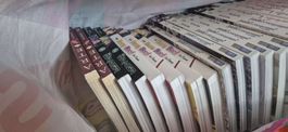 Manga "The Gamer", "Honey Blood", "Estelle"