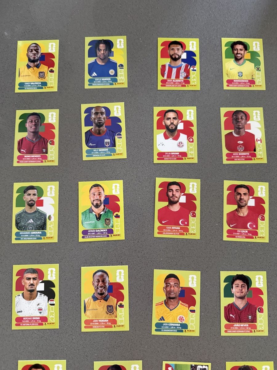 Panini Carte collezionabili: 53 Panini Sticker (6 Gold) – Nuovo (secondo la descrizione) da Wallisellen venduto da MoPo00 3