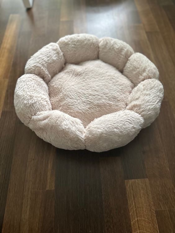 Ferplast QUEEN 45 Hundesofa | Kuschelbett Für Hunde & Katzen | Graues Samtbett 44x40x16 Cm Mit Kissen