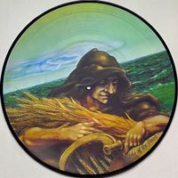 Grateful Dead - Wake Of The Flood tolle PICTURE LP VINYL NEU