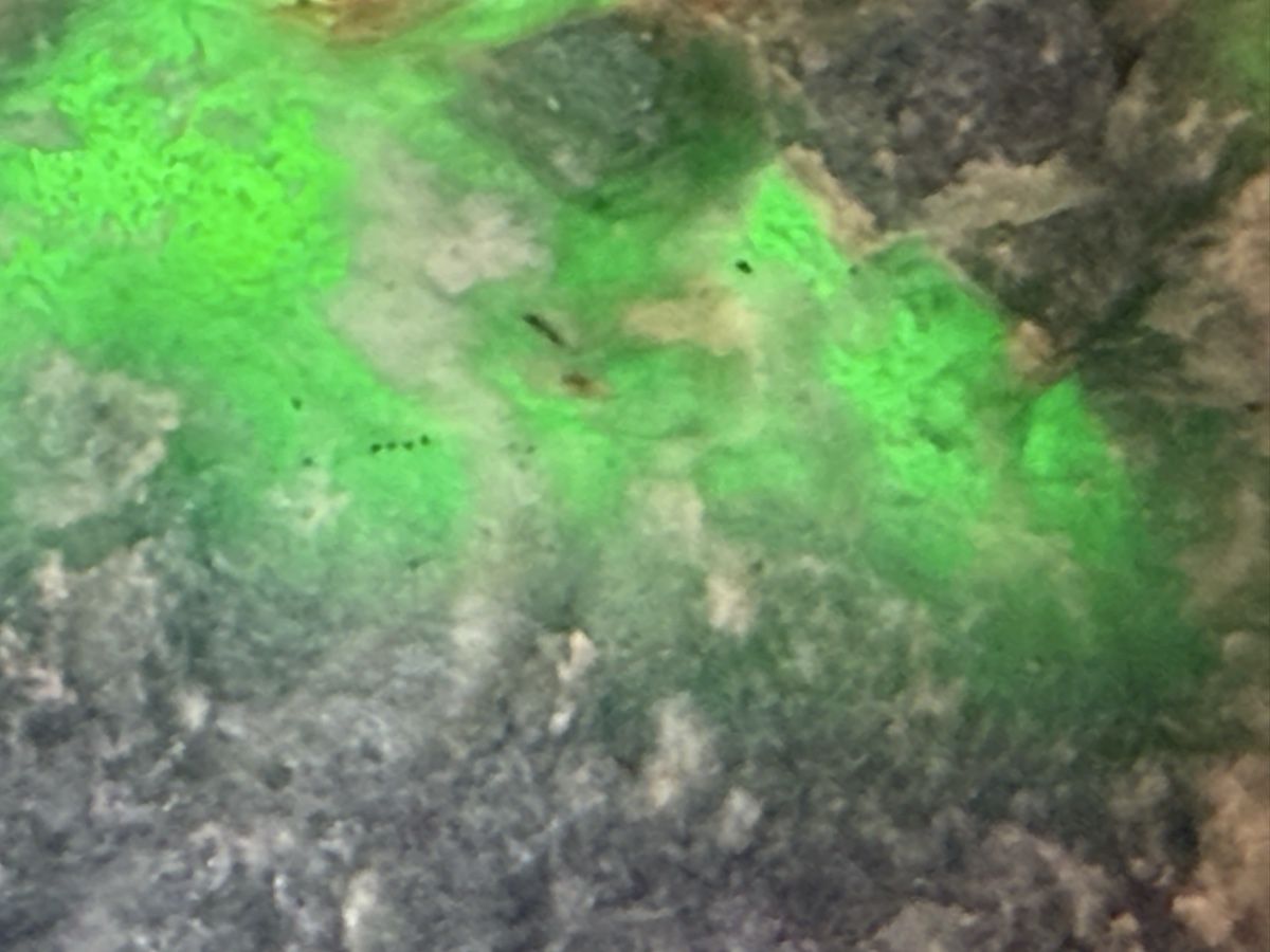 Minerali & Pietre curative: Jadeite Imperial echt 715,5ct! – Nuovo (secondo la descrizione) da Oberhof venduto da RealStone 1