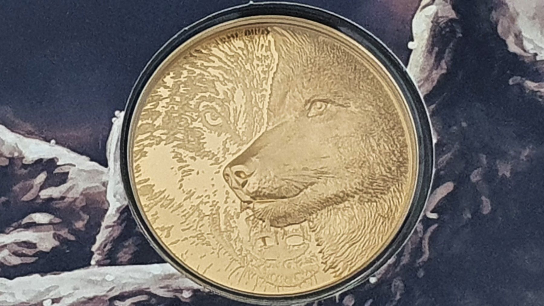 Tutti le monete: Goldmünze Mongolei Mystic Wolf – Nuovo e nell'imballaggio originale da Greppen venduto da hploetscher 5
