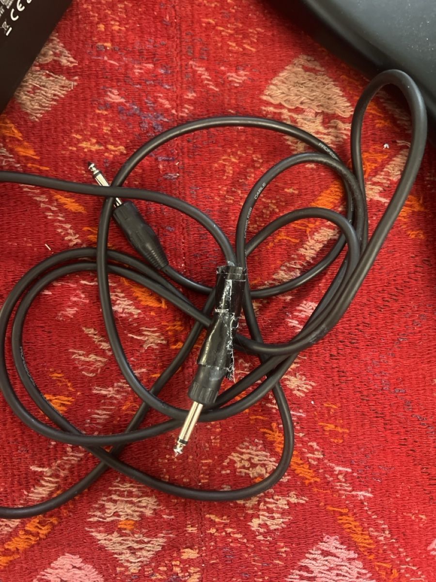 Strumenti musicali: E-Gitarre und Verstärker – Usato da Winterthur venduto da broal94 3