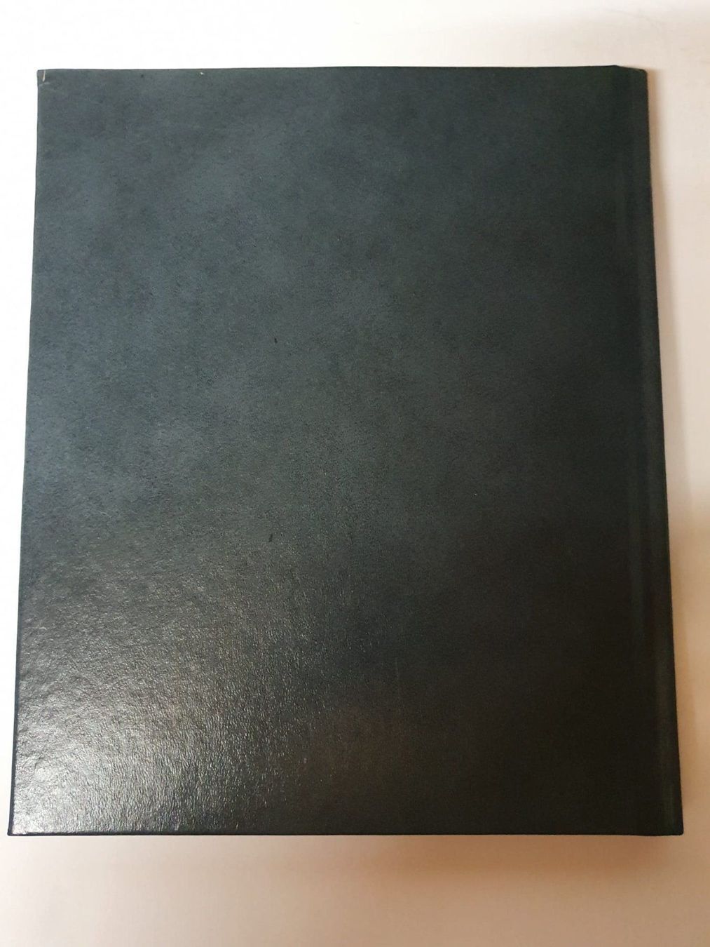 Libri: Flugakrobaten und Rekordjäger – Usato da Oberdorf BL venduto da BaldenEagle 3