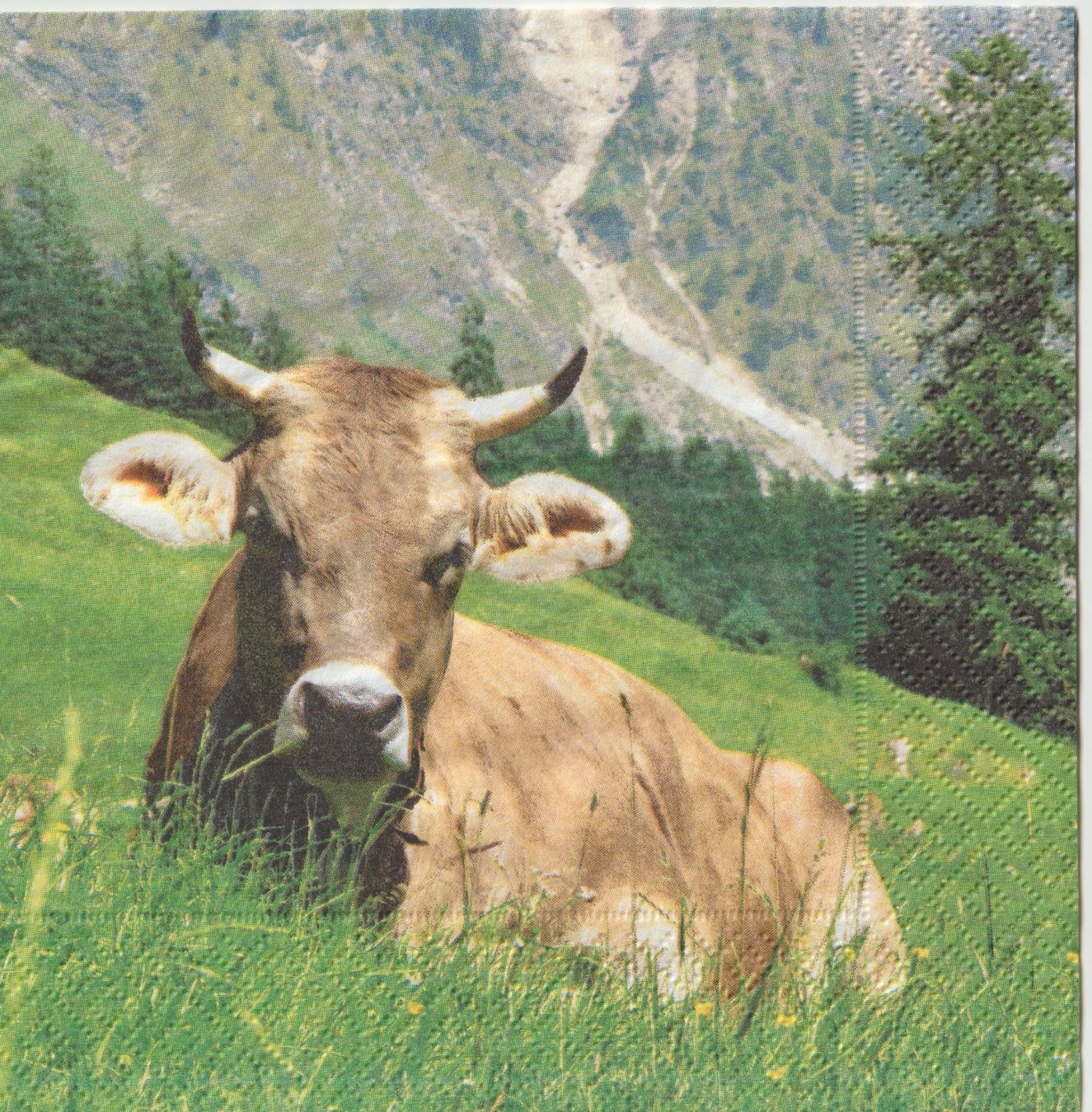Serviettes: 2 Servietten Kuh Wiese – Neuf (Voir description) à Basel par Happybaer