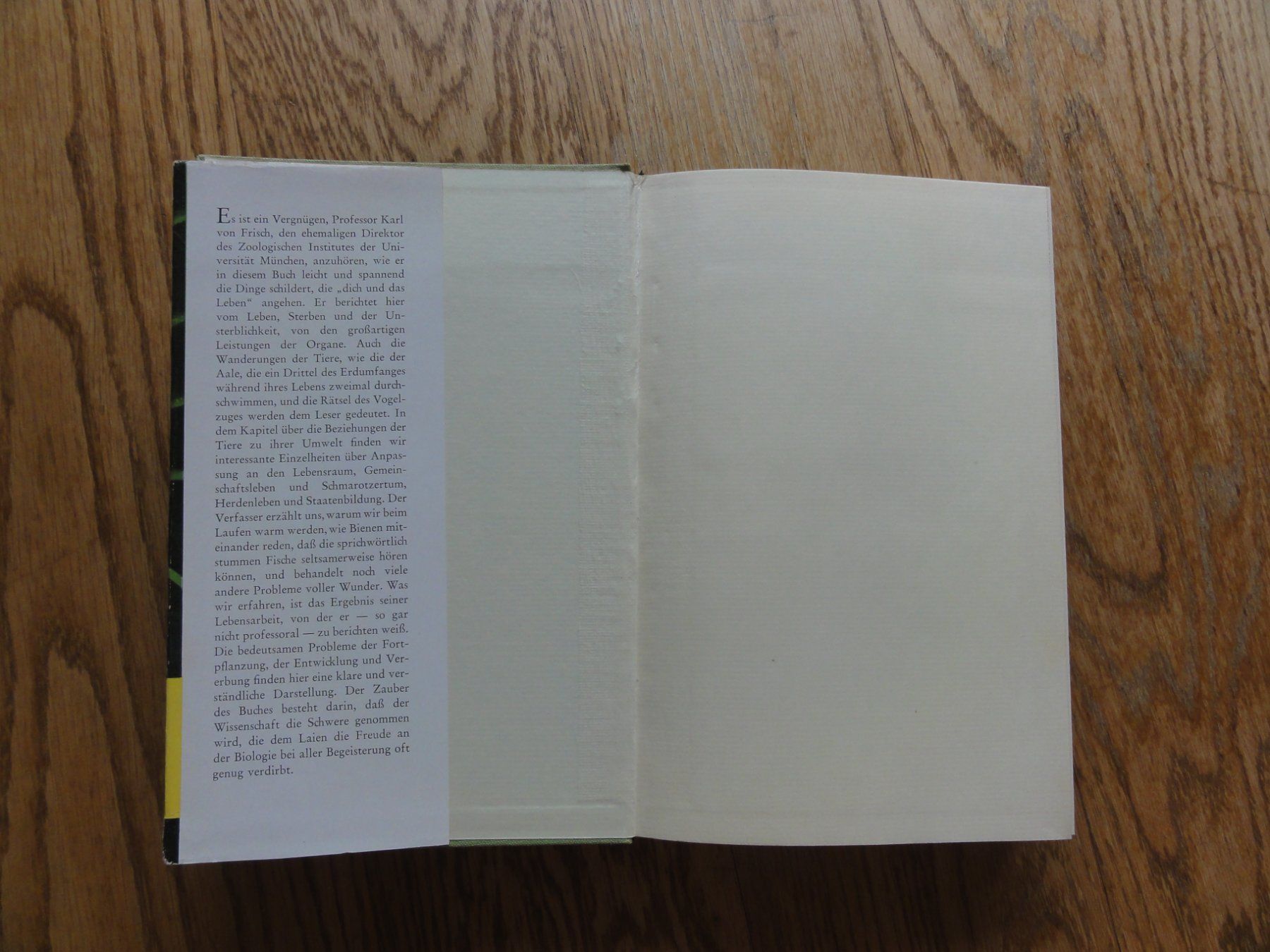 Libri: Du und das Leben, Antiquität – Usato da Riedholz venduto da Taweva 1
