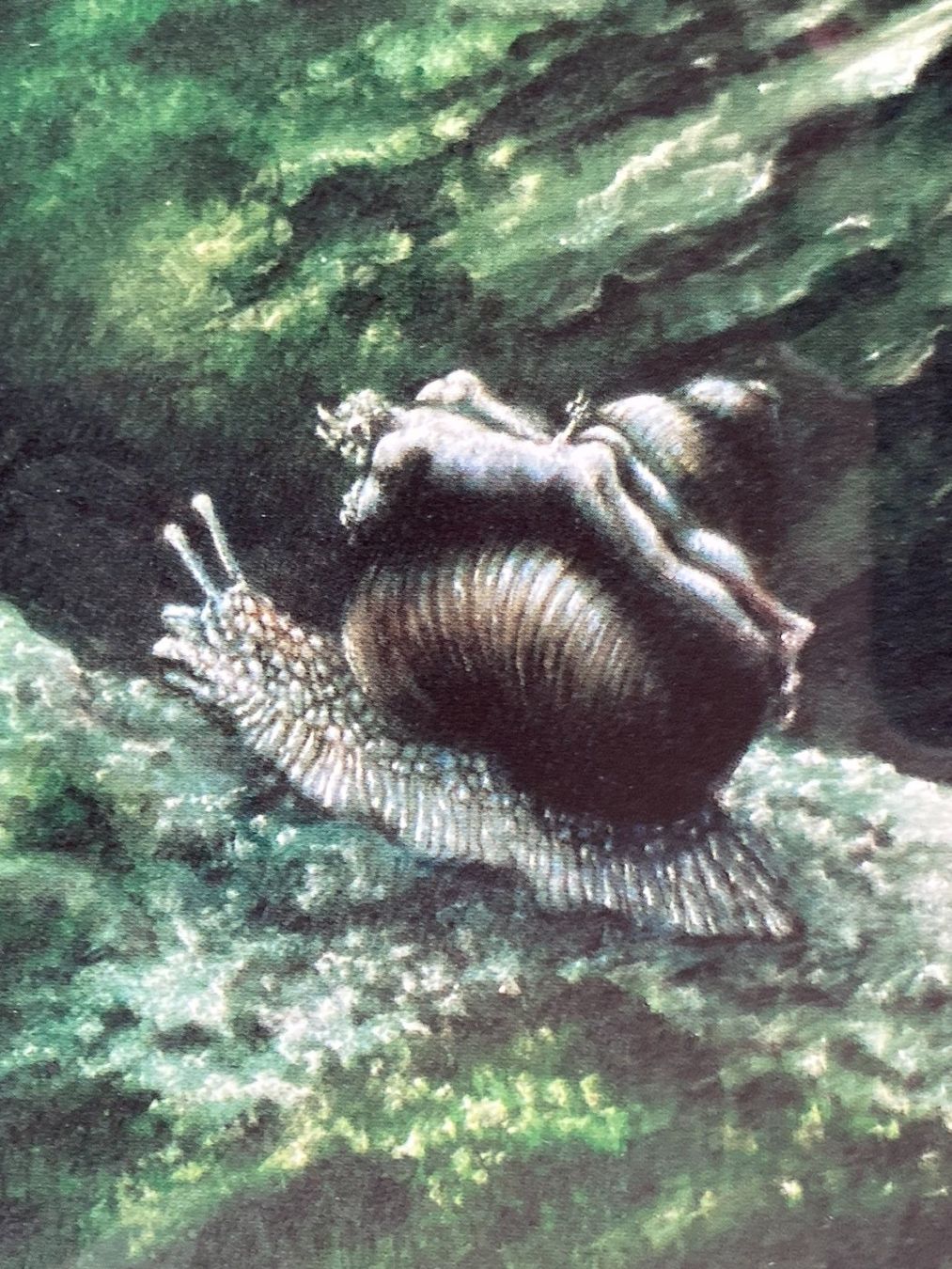 Foto & Immagini: FRIEDRICH  HECHELMANN   Schnecke /  Kunstdruck von Gemälde – Usato da Subingen venduto da ArtBead 1