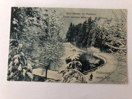 Wald Weiher im Reidholz - Partie Wädenswil - Richterswil