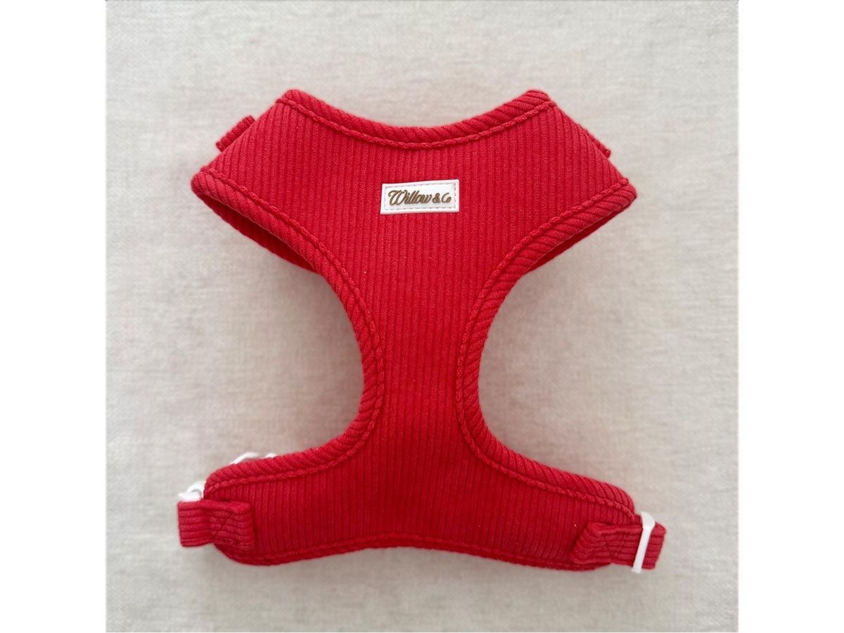 Kletterausrüstungen: Hundegeschirr – Willow & Co – Neu und originalverpackt aus Glattpark(Opfikon) von WillowAndCo 1