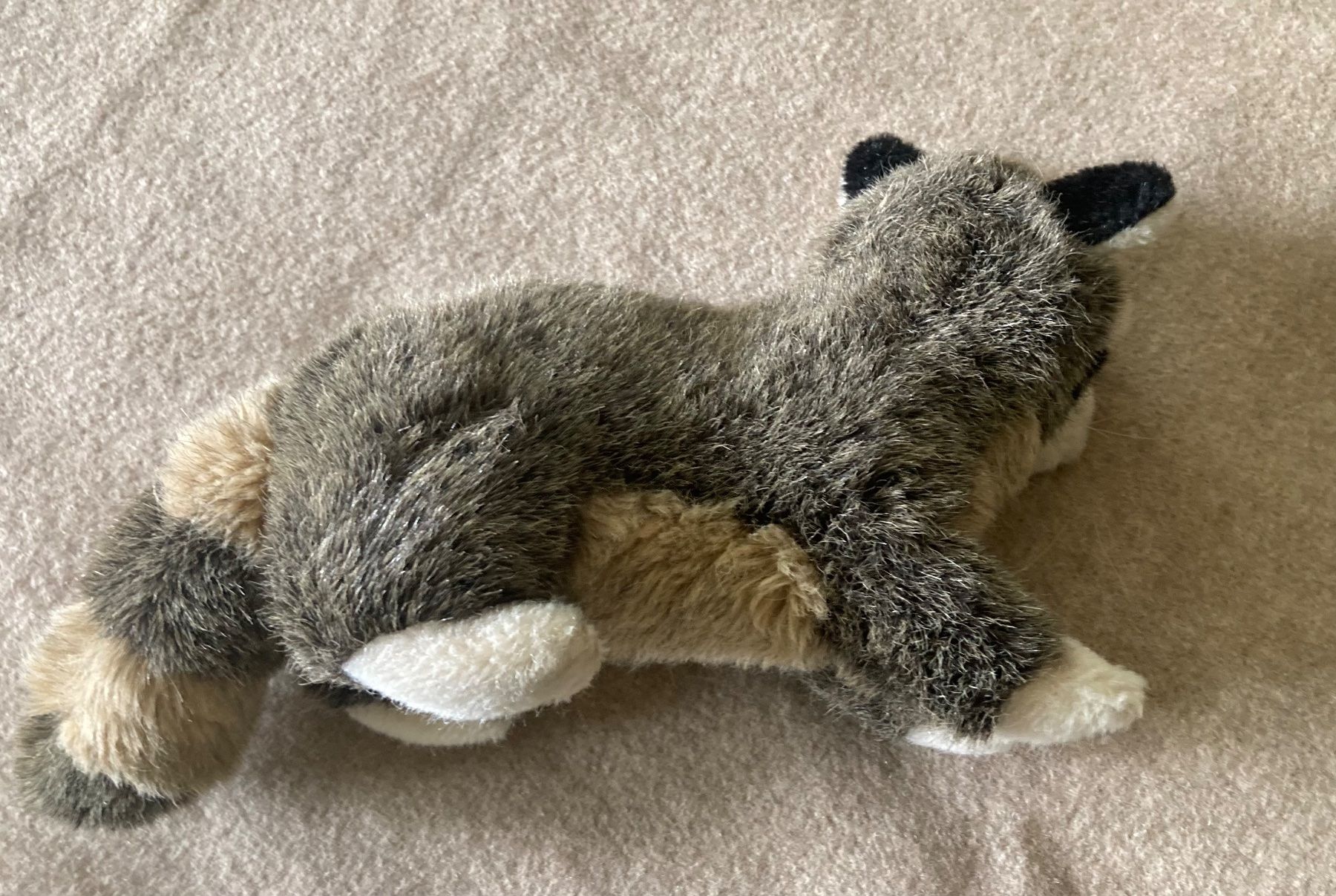 Steiff Giocattoli: Steiff Plüschtier Stofftier Waschbär – Usato da Zürich venduto da tanteluzie 6