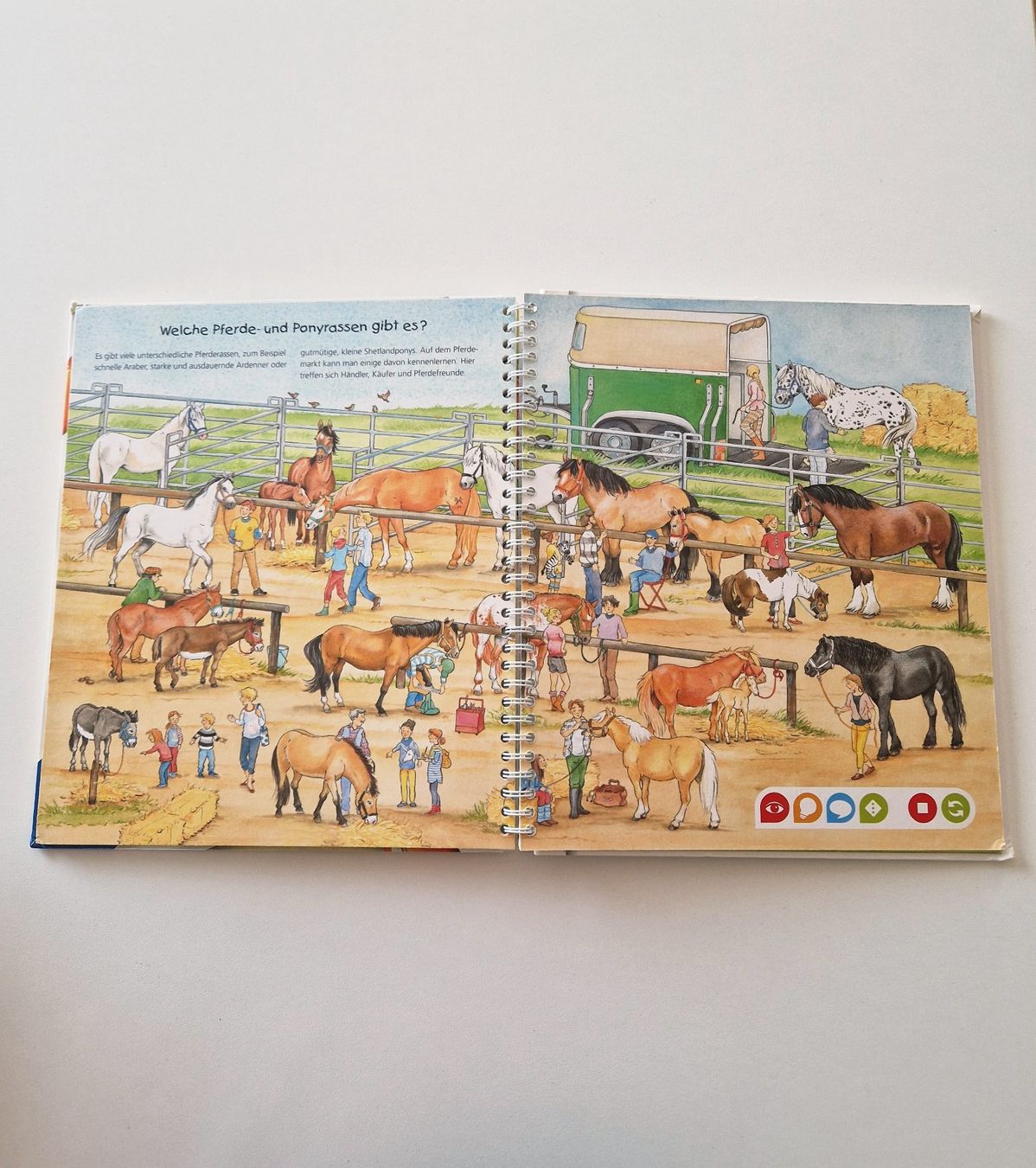 Tiptoi Spiele: tiptoi die Welt der Pferde und Ponys – Gebraucht aus Stüsslingen von white_angel86 1