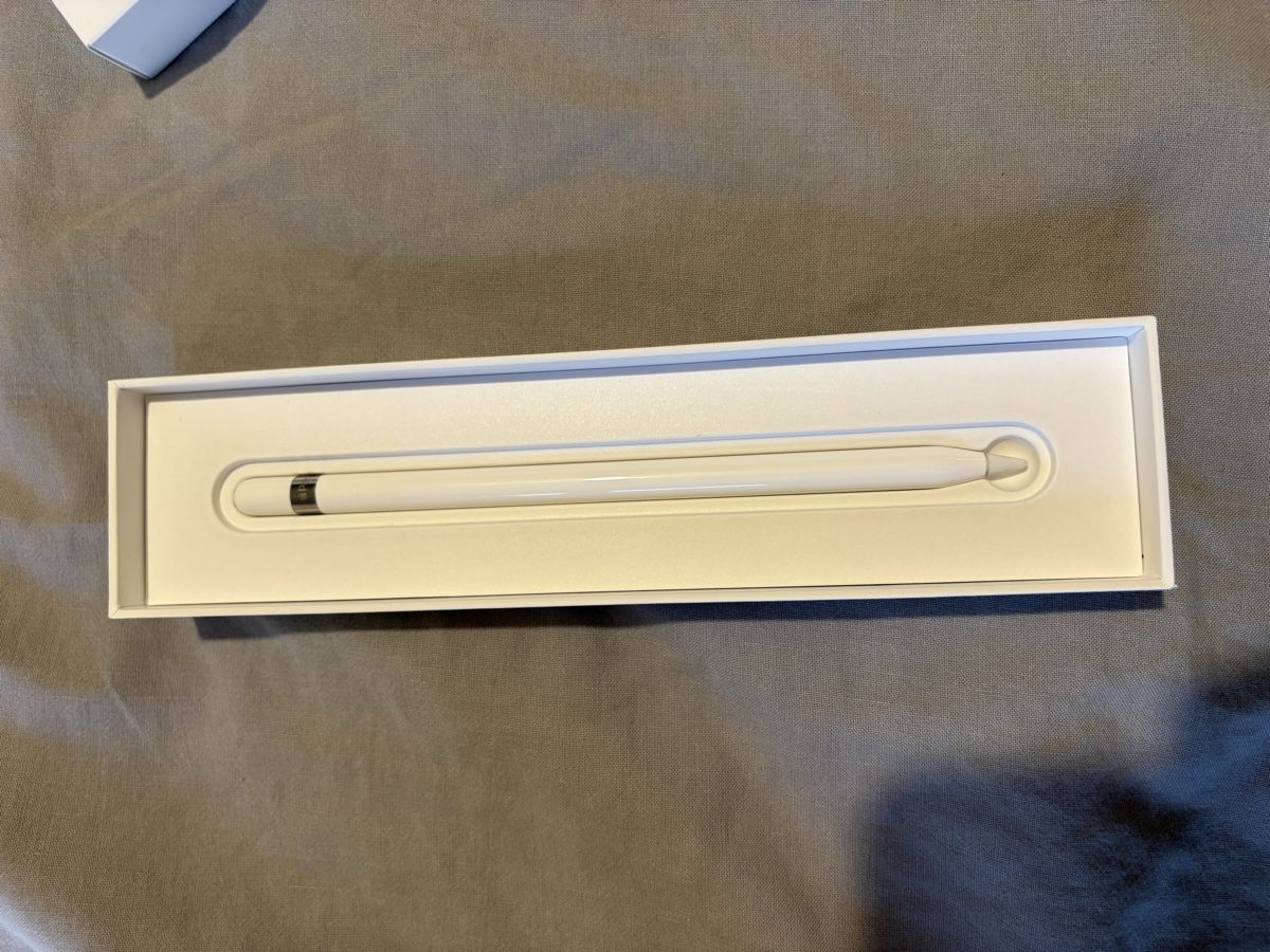 Apple Penna & Evidenziatori: Apple Pencil (1. Generation) – Usato da Basel venduto da Marferr 2