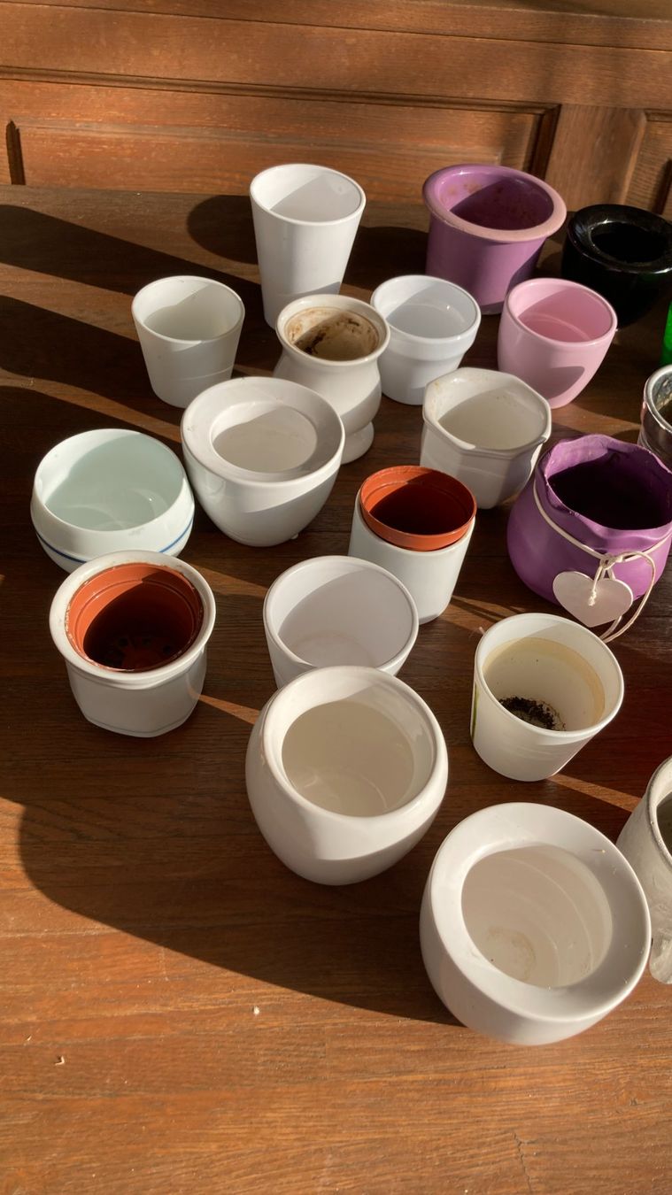 Pots de fleurs: Blumentöpfe Keramik gemischt – D'occasion à Zwingen par Hugom 6