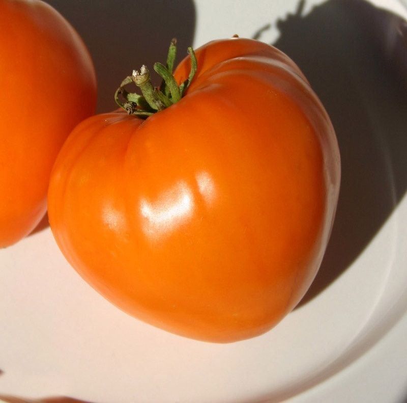 Piante & sementi: 50 Samen GERMAN ORANGE Strawberry Tomate – Nuovo (secondo la descrizione) da Ehrendingen venduto da VerveinaSamen 4