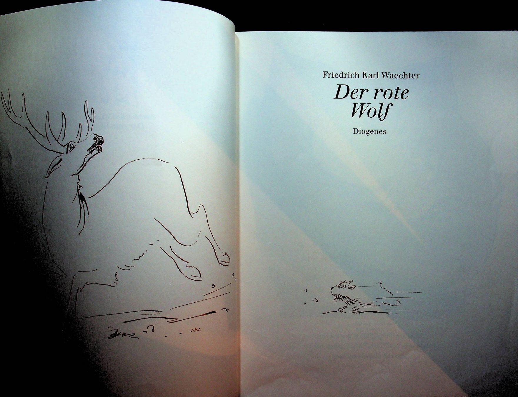 Libri: F. K. Waechter Der rote Wolf Diogenes EA 1998 – Usato da Reitnau venduto da Zaomir 1