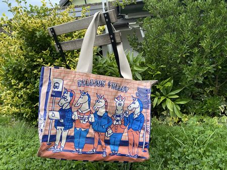 Sommer Tasche: Silicon Valley Tragetasche, neuwertig!