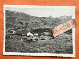 Alp Fursch m. Spitzmeilen Flums - Grossberg Postkarte 150