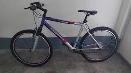 Mountain- / Citybike (Universalbike)