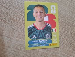 MEX 19