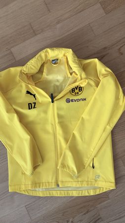 BVB Borussia Dortmund Regenjacke, Puma, Grösse 164/14Y