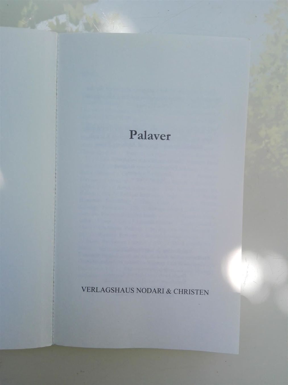 Libri: Palaver      (Schweizer Jung-Autoren) – Usato da St. Gallen venduto da elk2021 1