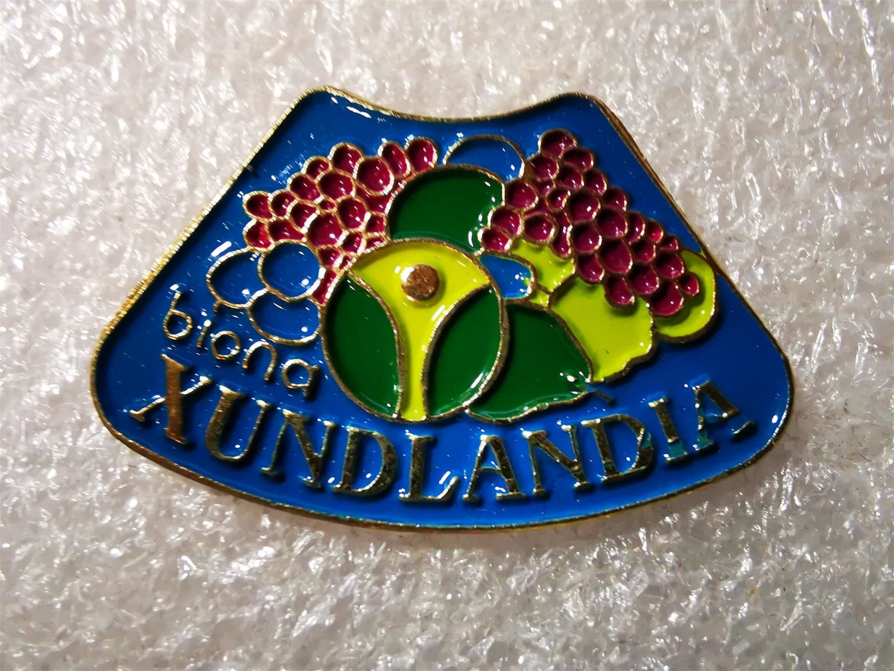 Placchette & Badge: Ansteckpin 76: Xundlandia – Usato da Oppligen venduto da Pin-Fall-Shop