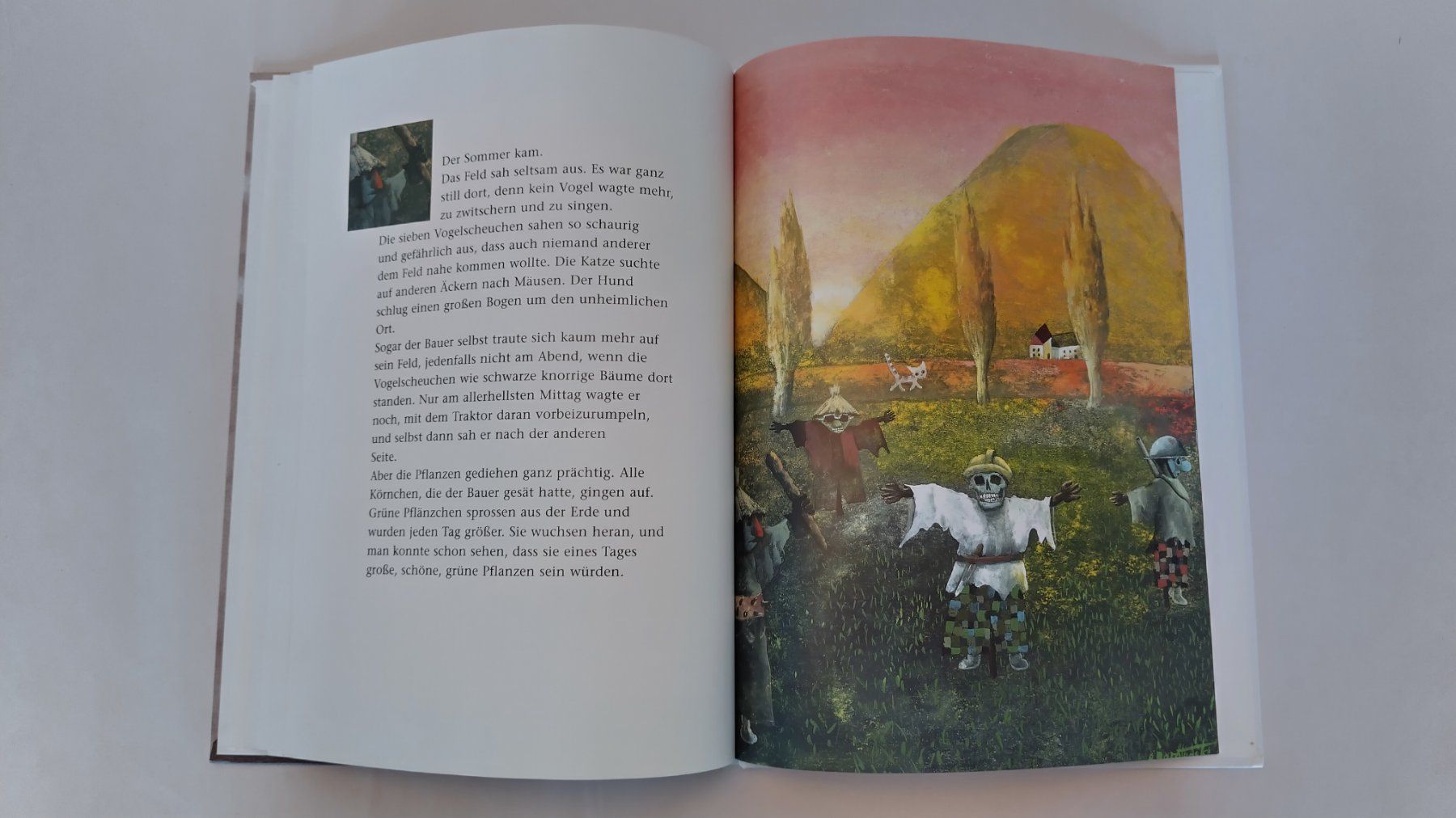 Livres: Die sieben Vogelscheuchen / Bilderbuch 1998 ab Fr. 10.- – D'occasion à Bellach par JingleJerry 6