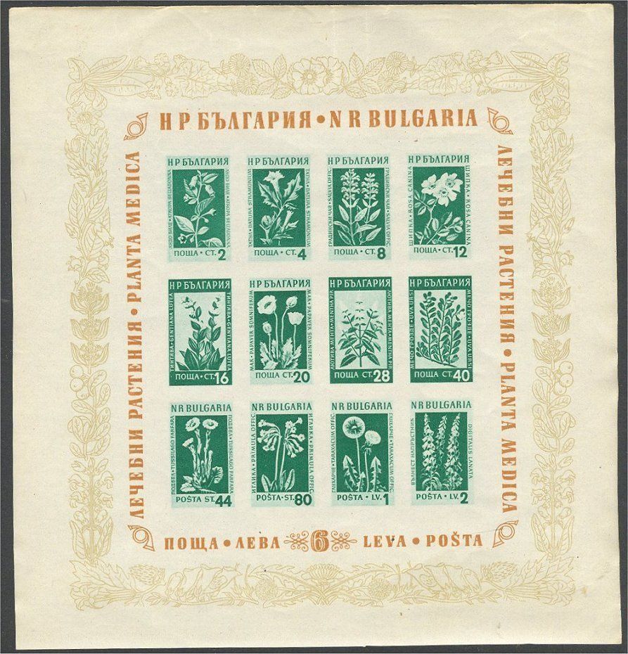 Alle Briefmarken: BULGARIEN, HEILPFLANZEN BLOCK 1953 POSTFRISCH ** – Neu (gemäss Beschreibung) aus Wetzikon ZH von Philimpex