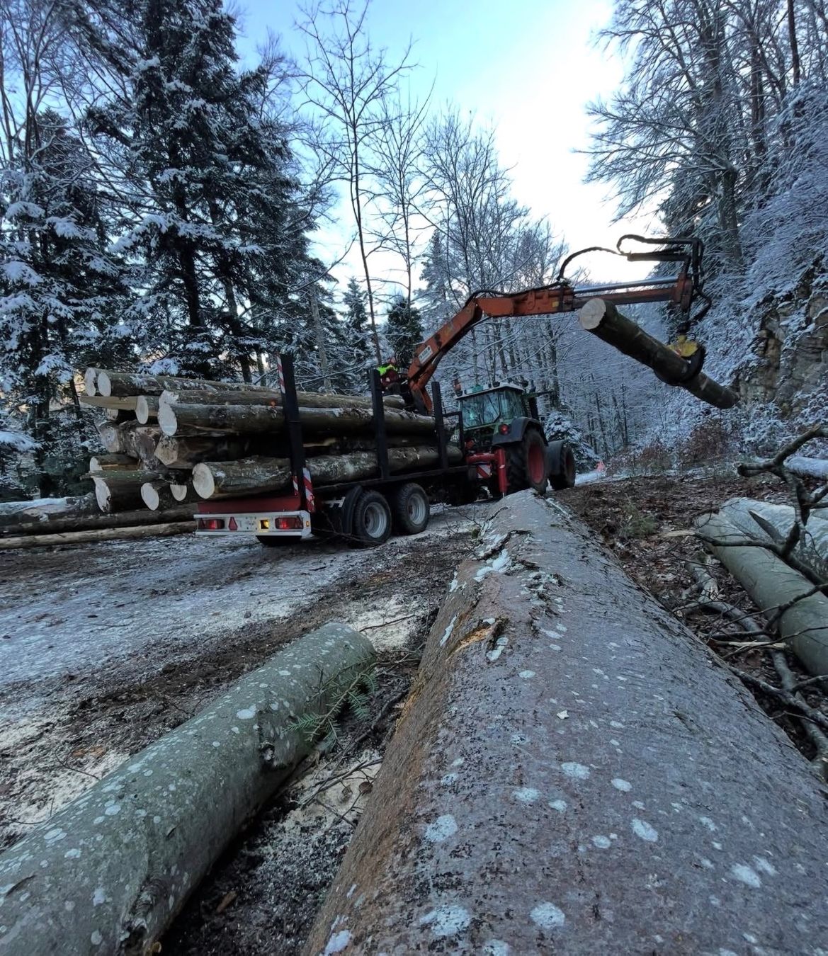 Rimorchi: Remorque forestière – Usato da Courtételle venduto da rue_9hdc 1