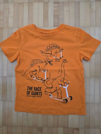Dino T-Shirt in der Grösse 110