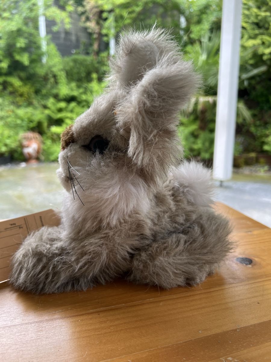 Steiff Giocattoli: Steiff Teddy Hase – Usato da Pfeffingen venduto da Jbieli 3