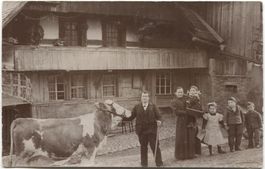 Landwirtschaft/Bauernfamilie mit Kuh 1919 BE?