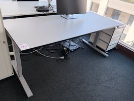 Tradingzone / Linak Bürotisch (Lot 40) 8304 Wallisellen