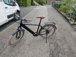 E-Bike, EGO Movement  TARZAN, 25km/h, wenig gefahren!
