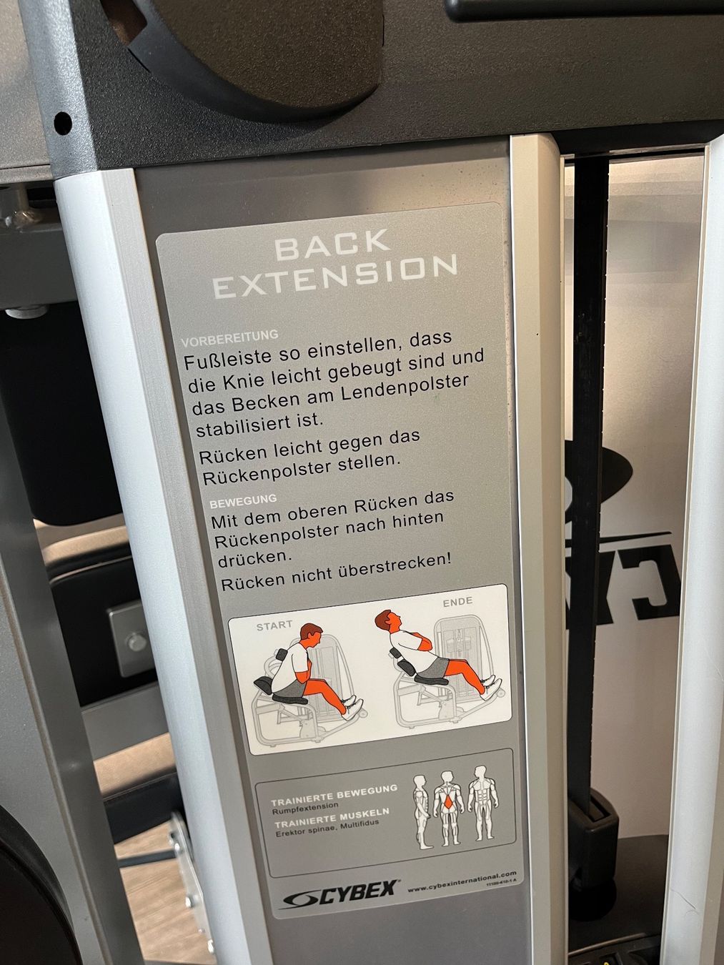 Cybex Hometrainer: Cybex Rückenstrecker – Usato da Trübbach venduto da tea_k5bv 1