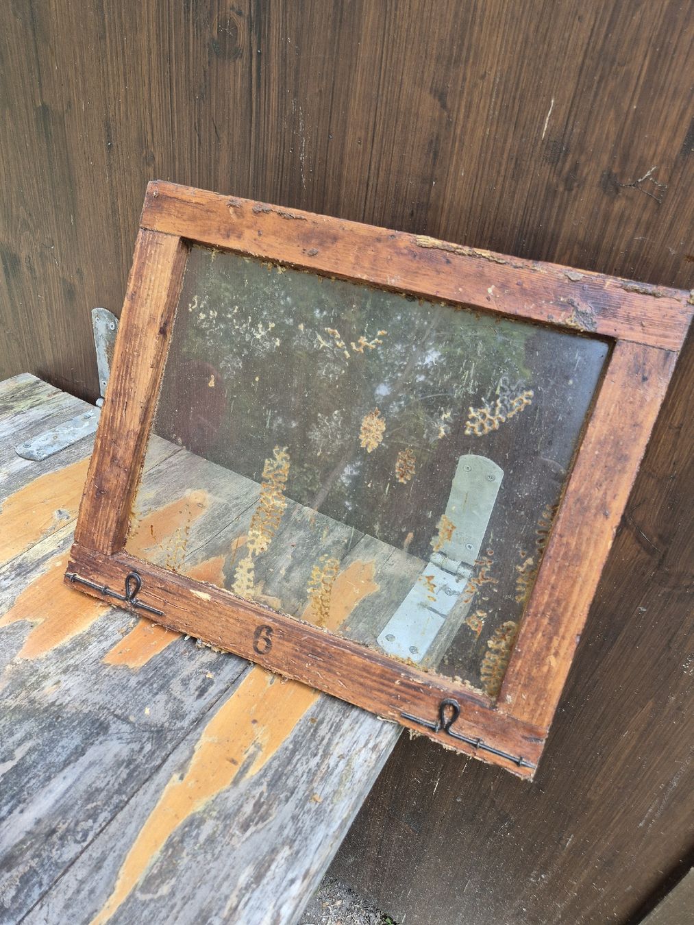 Bienenhäuser: Bienen – Gebraucht aus Schaffhausen von beny06