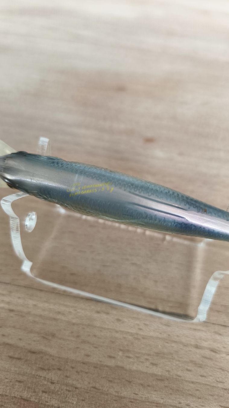 Megabass Esche: Megabass Live-X Leviathan – Usato da Sarnen venduto da sebalant 2