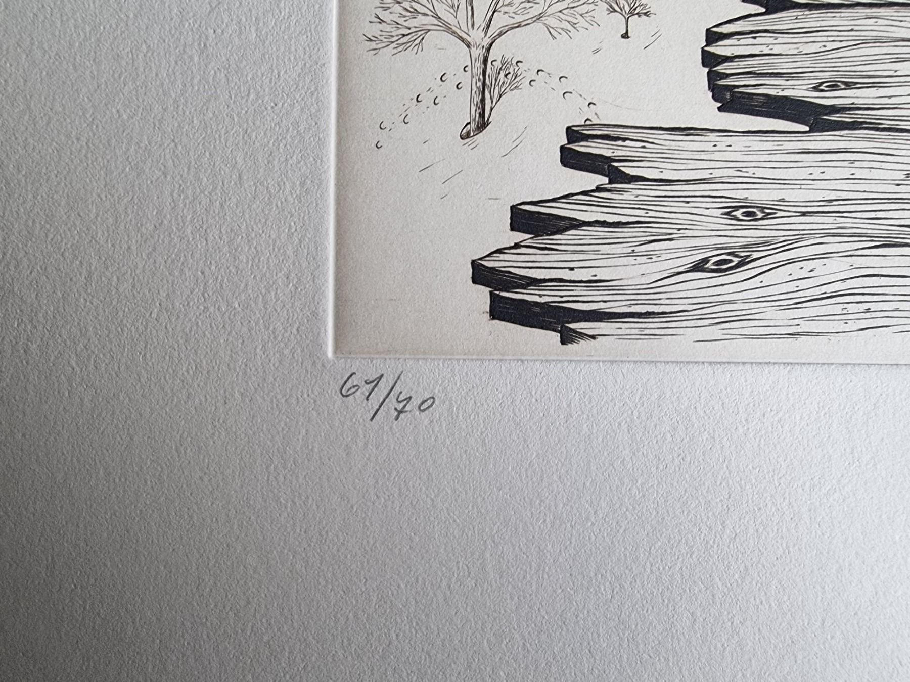 Grafica & Litografie: PETER STREICH RADIERUNG SIGNIERT NUMMERIERT – Usato da Gersau venduto da grafik-kunst 2