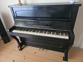 gutklingendes Klavier wegen Umzug zu verkaufen