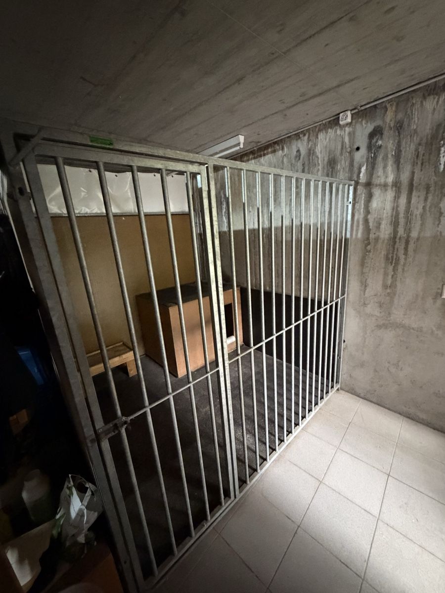 Box & Barriere di sicurezza: Hundezwinger mit Hütte – Usato da Domat/Ems venduto da 7013Carrera 2