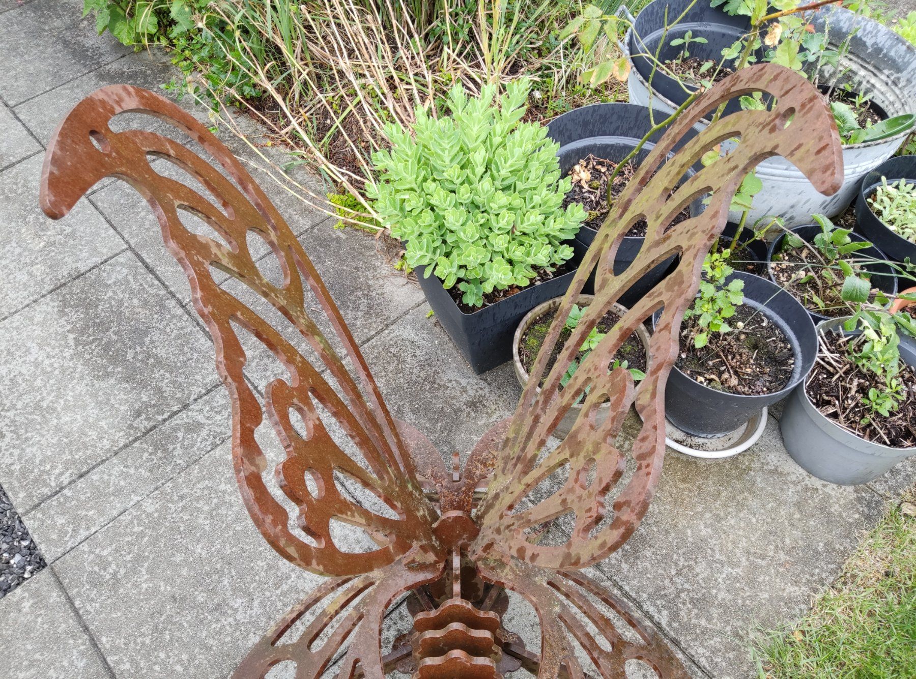 Sculture & Statue: Grand papillon, sculpture – Usato da Vicques venduto da prairie0809 3
