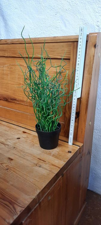 künstliche Pflanze IKEA, Kringelpflanze(FEJKA) Kaufen auf Ricardo