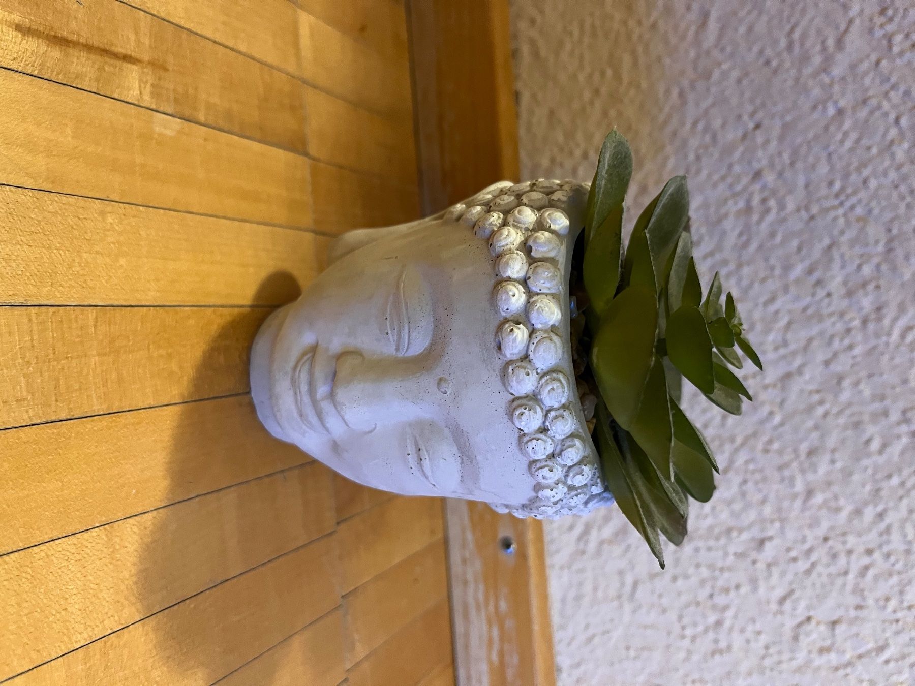 Plantes & graines: Planar Kunststoff  mit budda vase – D'occasion à Küssnacht am Rigi par ciucchino