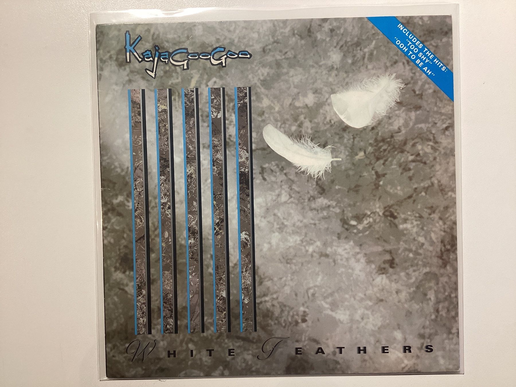 Dischi in vinile: KajaGooGoo LP - White Feathers – Usato da Gutenswil venduto da Hamzian