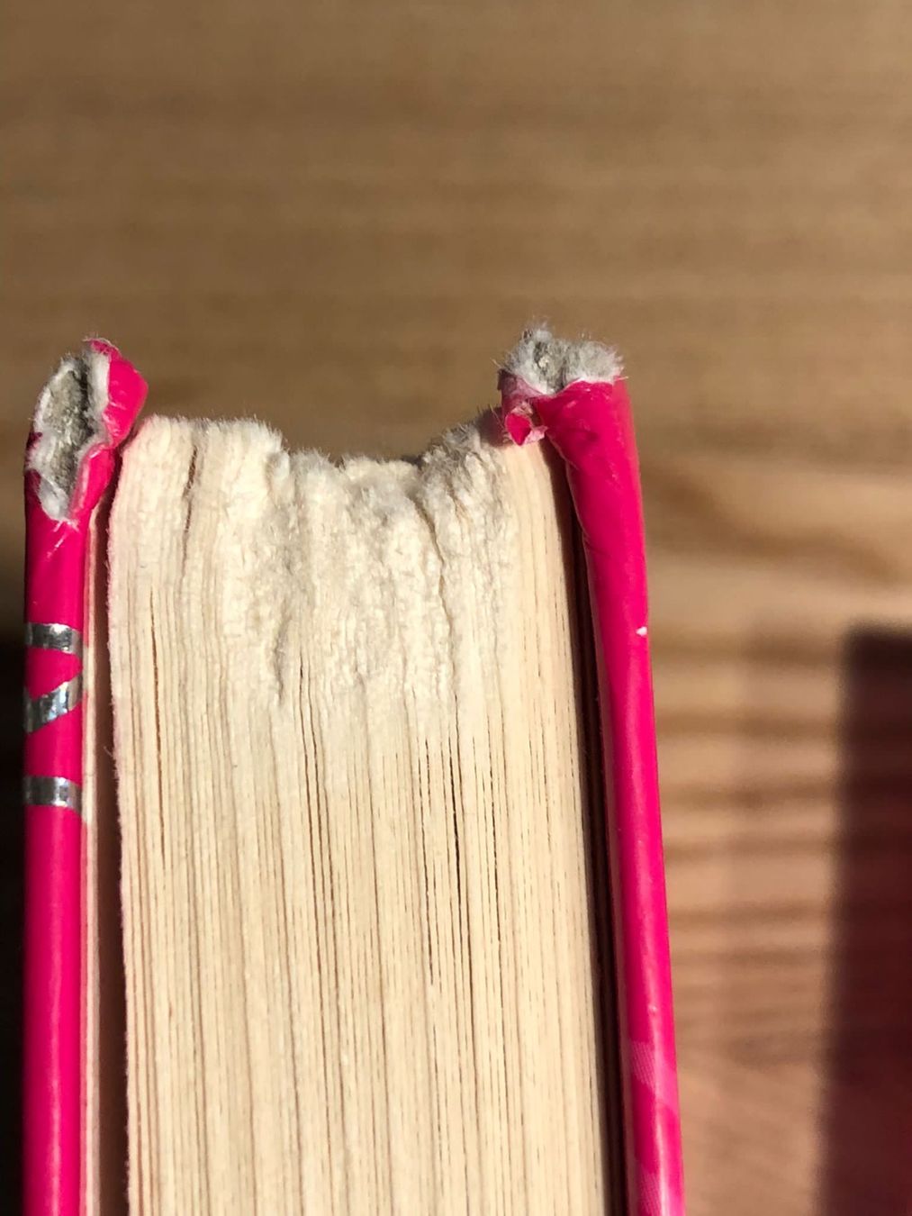 Bücher: 8 coole Mädchenbücher – Gebraucht aus Röschenz von Tashroal 6