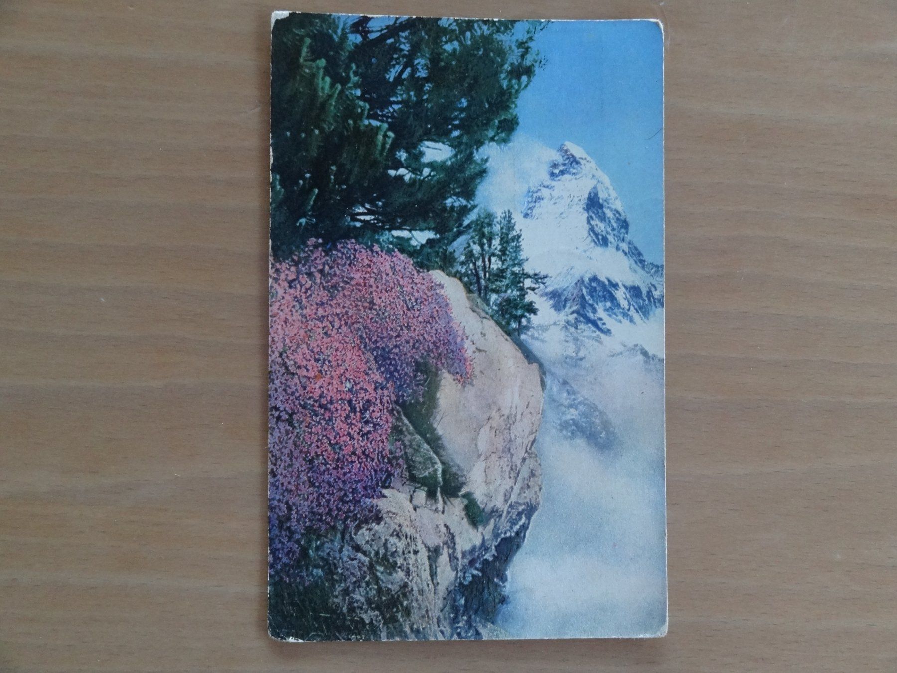 Ansichtskarten: Zermatt - le Cervin - 1929 – Gebraucht aus St Léonard von Riglin