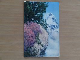 Zermatt - le Cervin - 1929