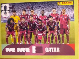 Panini QAT13